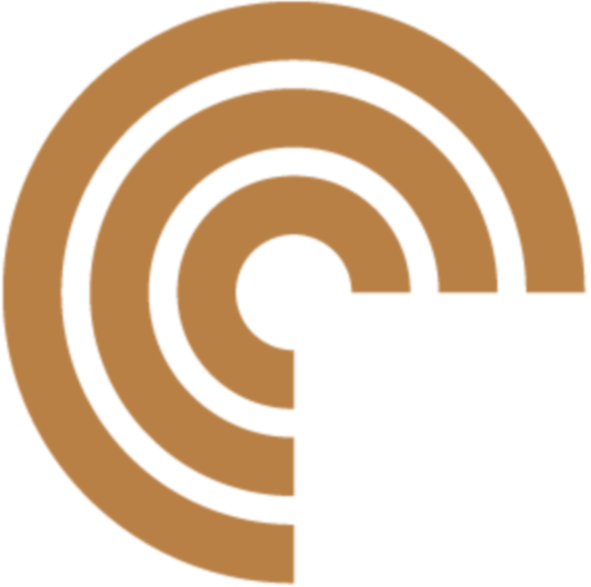 Illustration of a maze with a brownish color on a black background.
