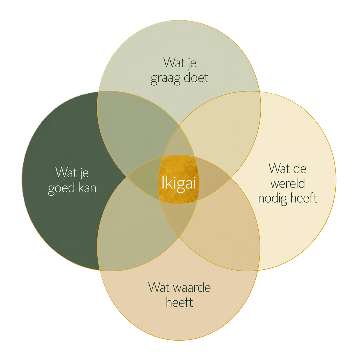 A Venn diagram with five overlapping circles labeled in Dutch. It represents the theorie about Finding Your Ikigai.