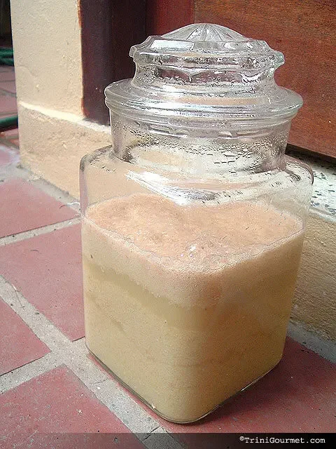 Carmen's Jamaican Ginger Beer