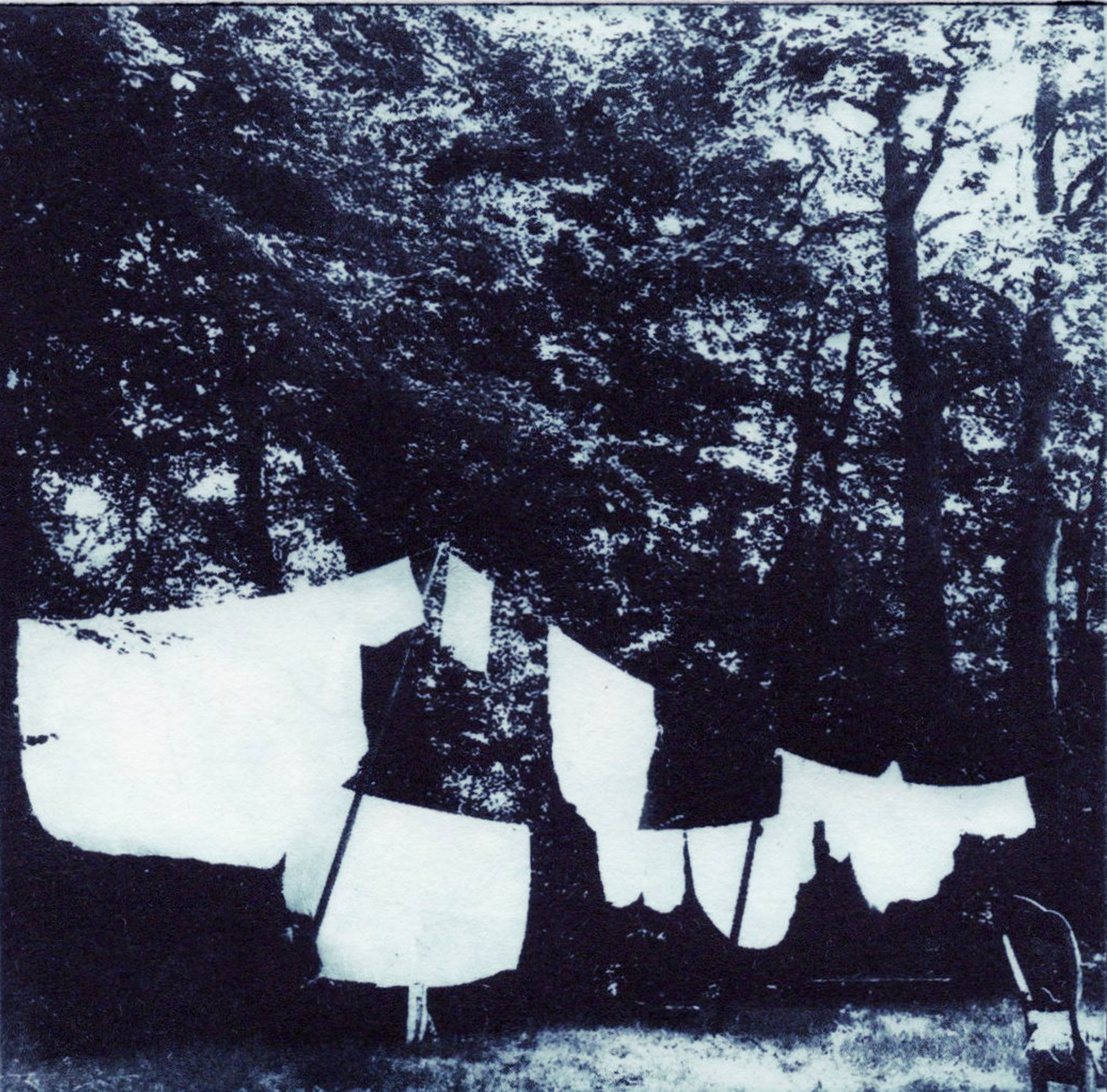 Hinshelwood_Michelle_wash_day_a.jpg