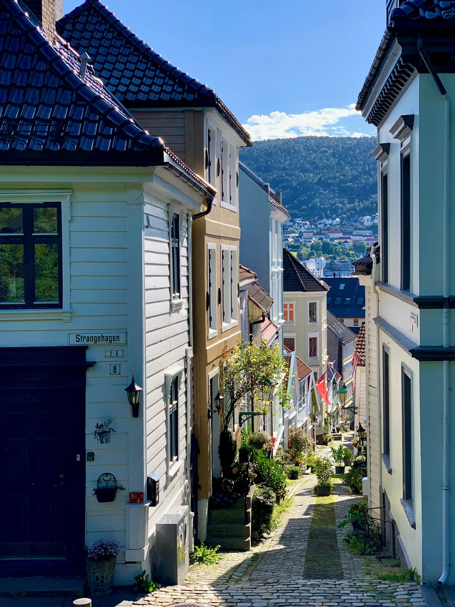 Picturesque cobblestone street lined with colorful houses with flower pots and greenery, leading to a scenic view of a hill and houses under a blue sky.