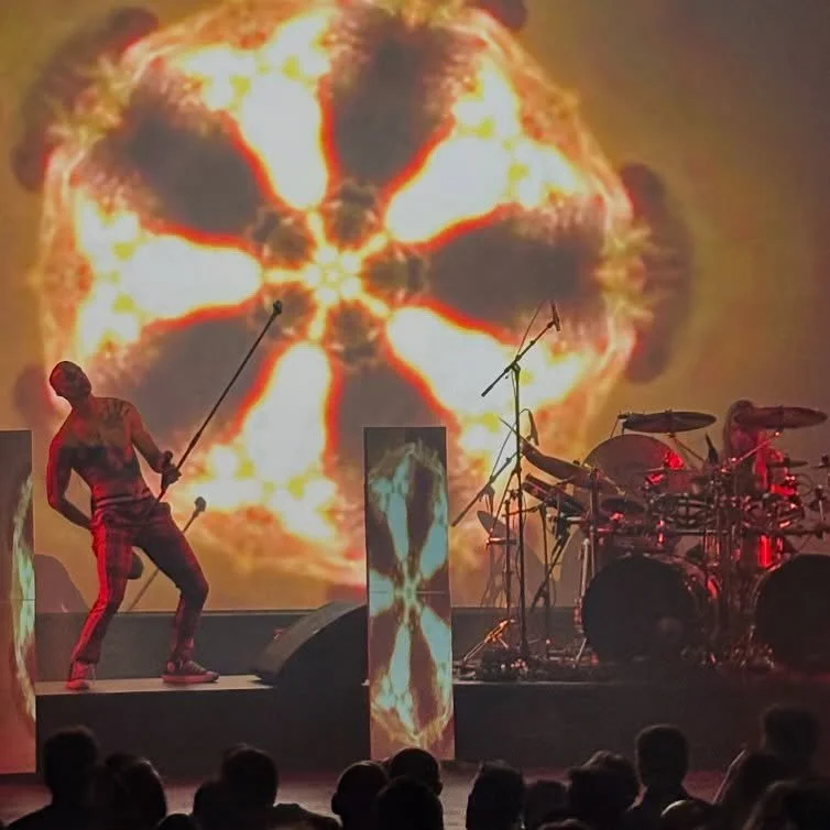 The Perfect TooL @patronaathaerlem 
Great tribute band to TooL

Thanks for a great night out, @robinpajzsphotography