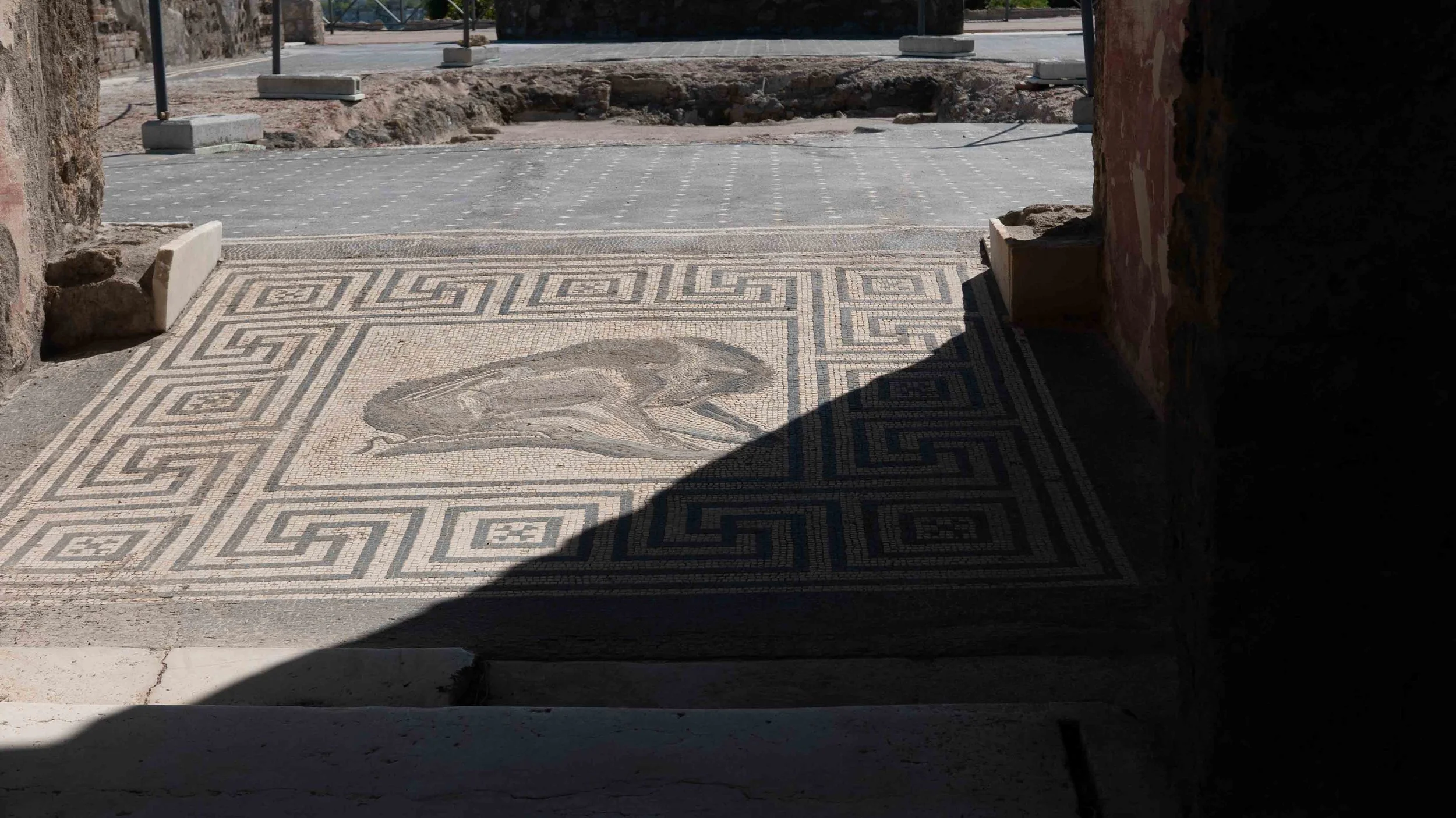 Rome -100.jpg