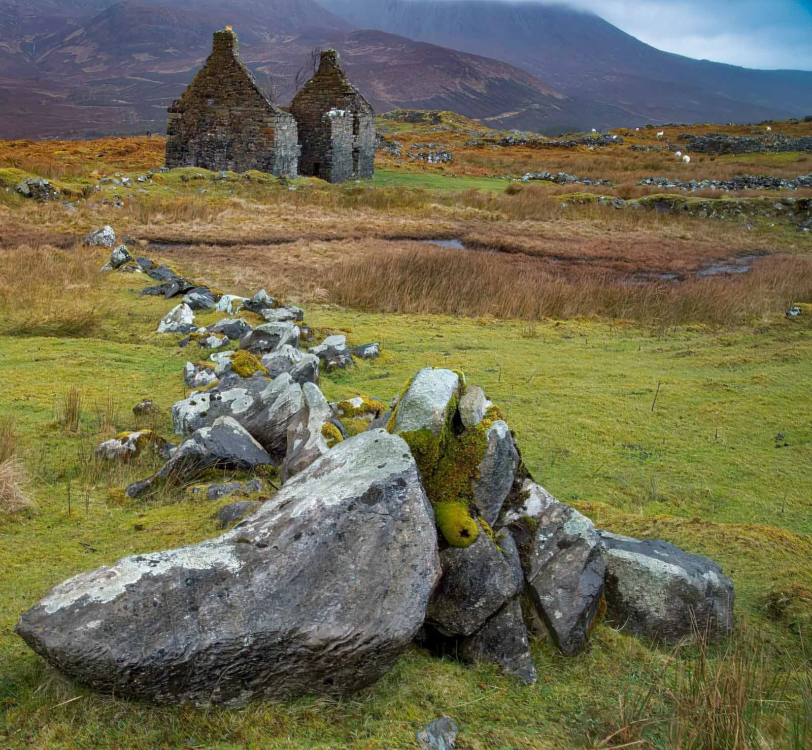 Skye-6.jpg