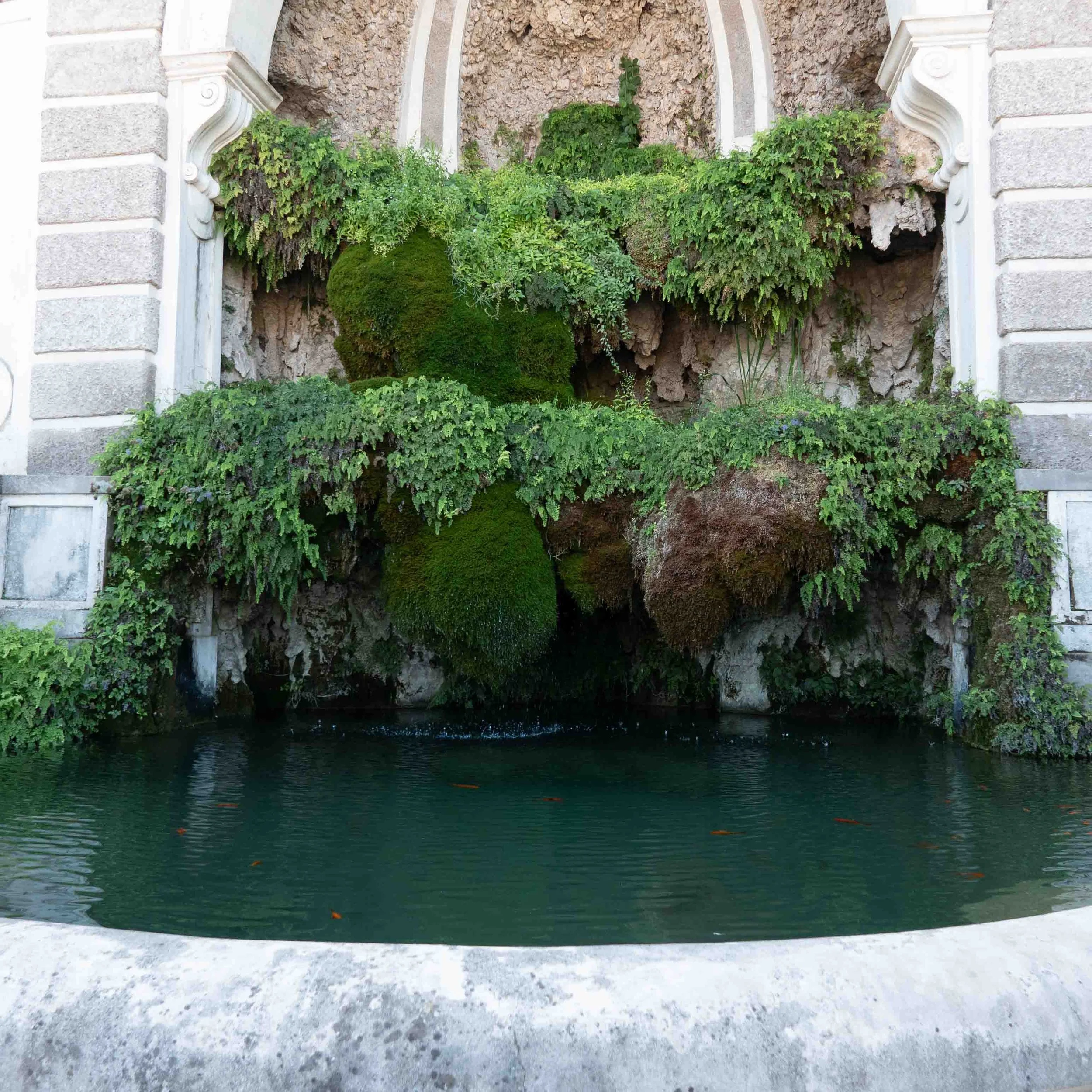 Rome -35.jpg