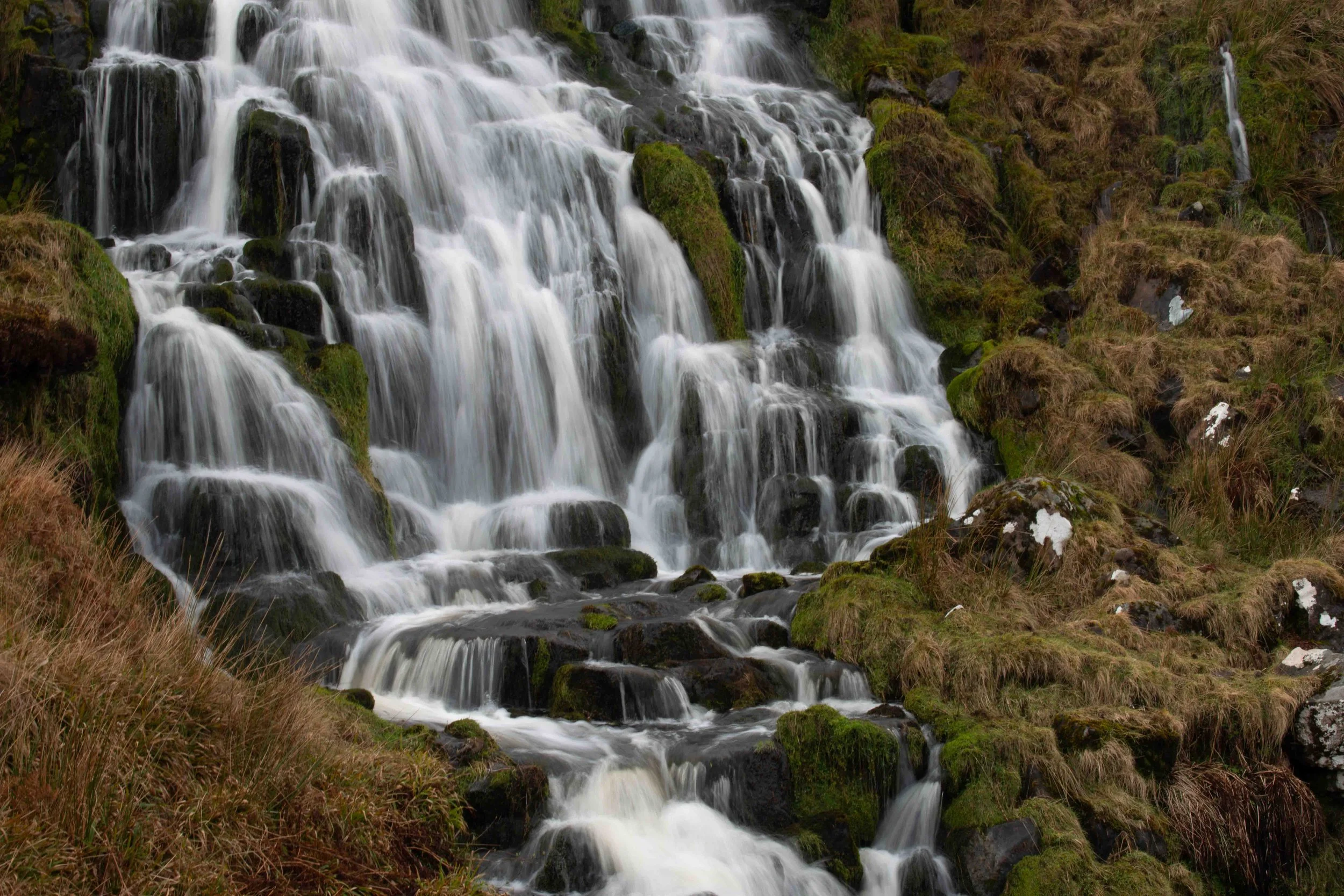 Skye-11.jpg