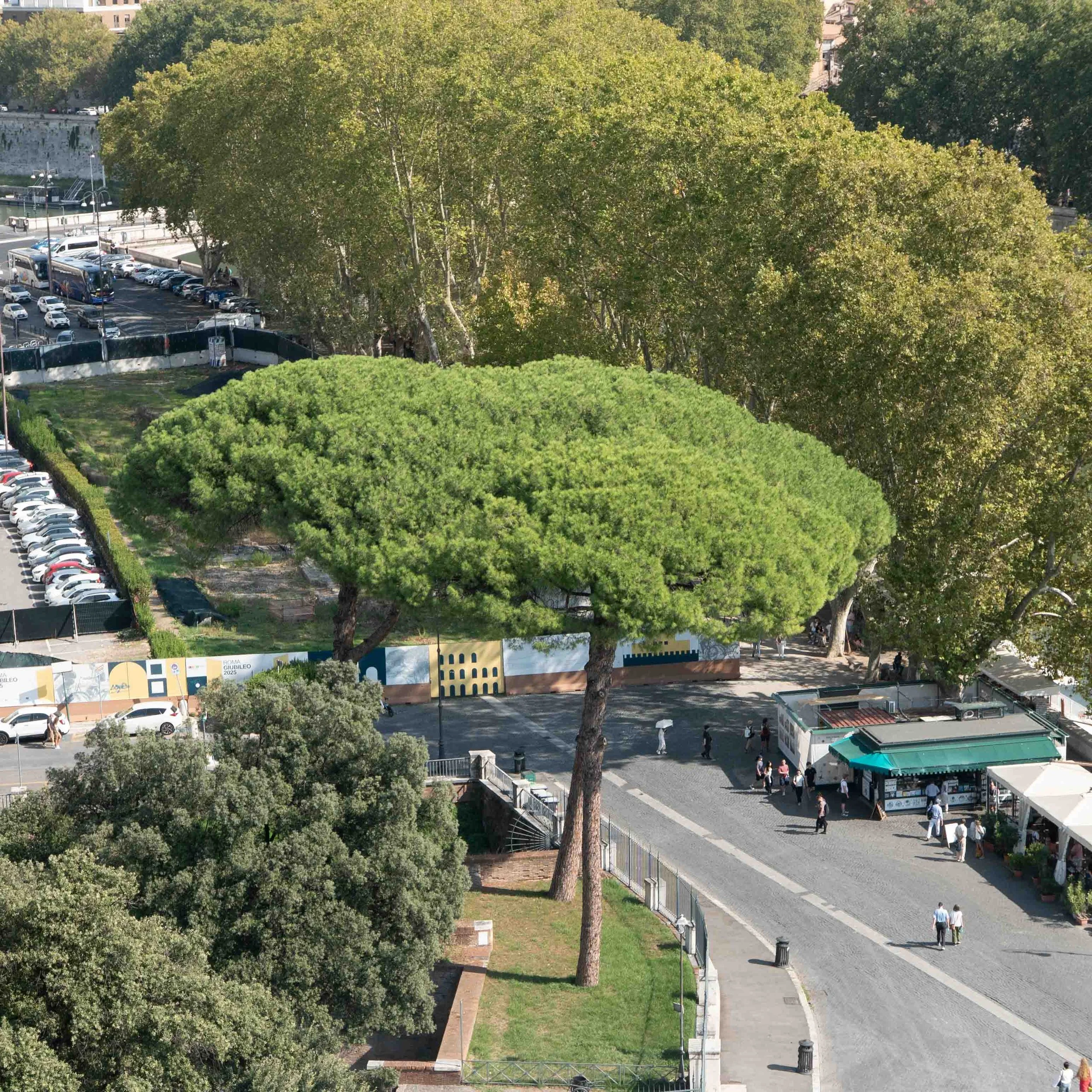 Rome -197.jpg
