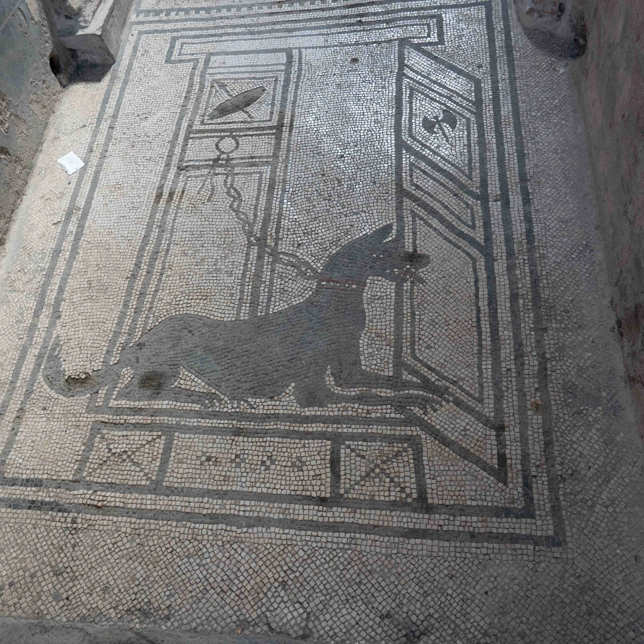 Rome -76.jpg