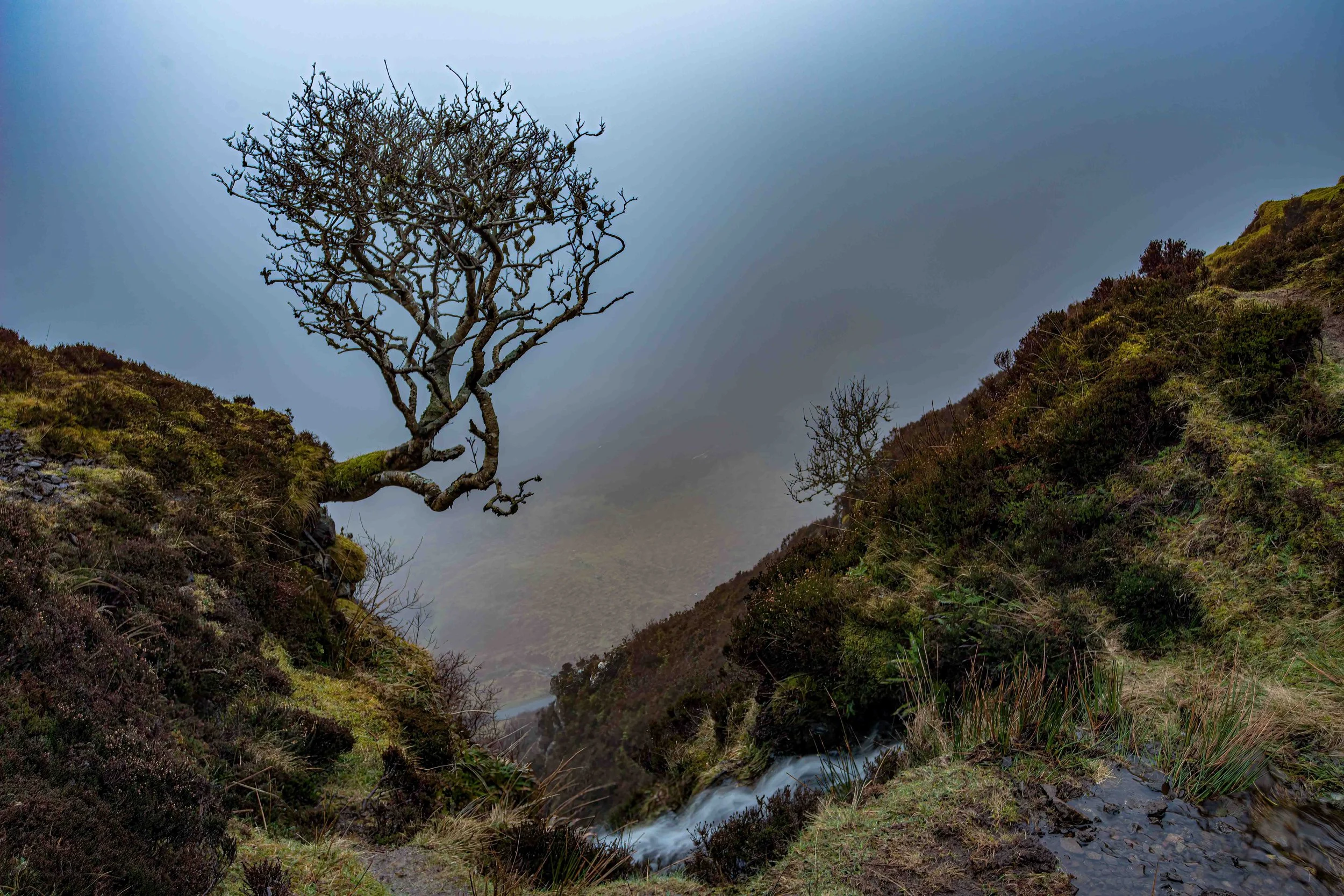 Skye-8.jpg
