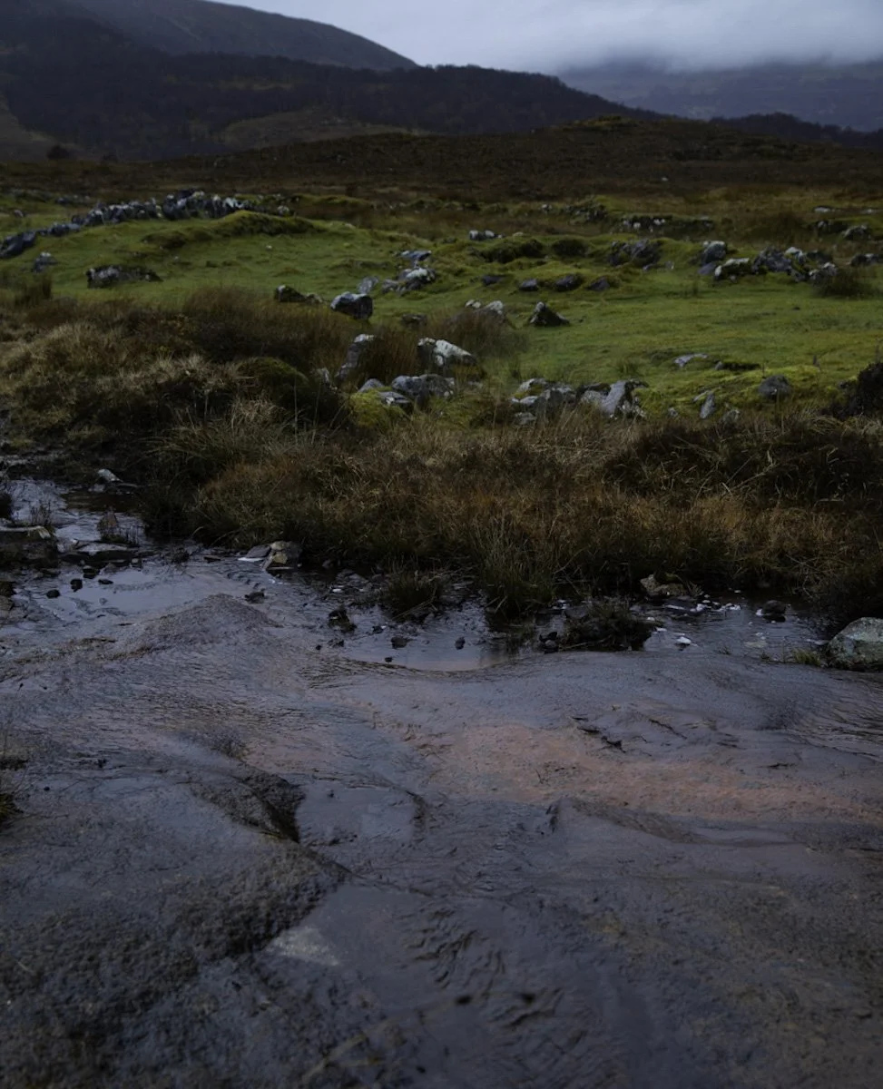 Skye-4.jpg