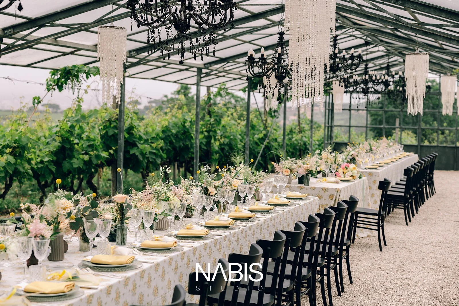 Nabis Studio-561.jpg