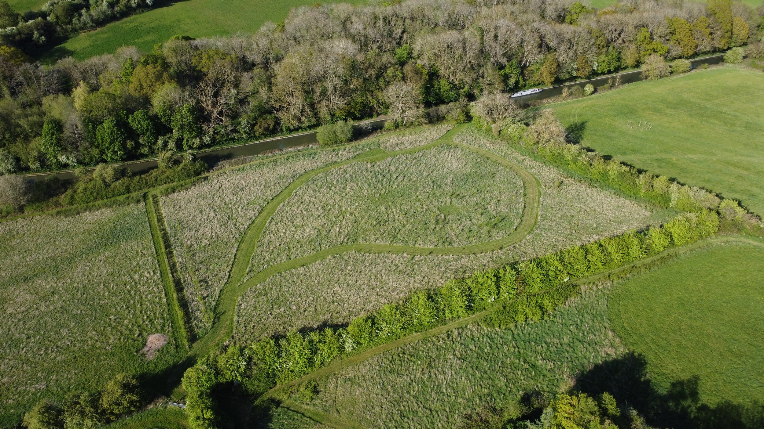 Aerial view of a winding path through a young wodland surrounded by dense trees and shrubbery with a canal running alongside.
