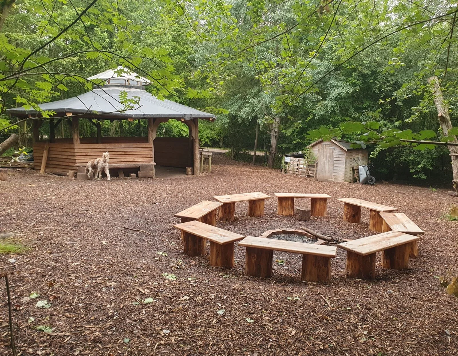 A wooded outdoor area with logs arranged in a circle around a fire pit, a wooden shelter with a sloping roof, a small wooden shed, and a dog near the shelter, surrounded by green trees.