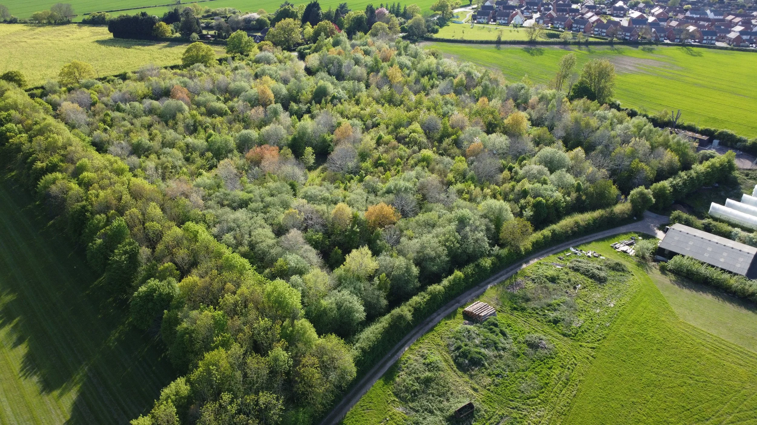 Aerial view of a lush green forested area with a road curving through it, and houses with greenhouses and farmland in the background.