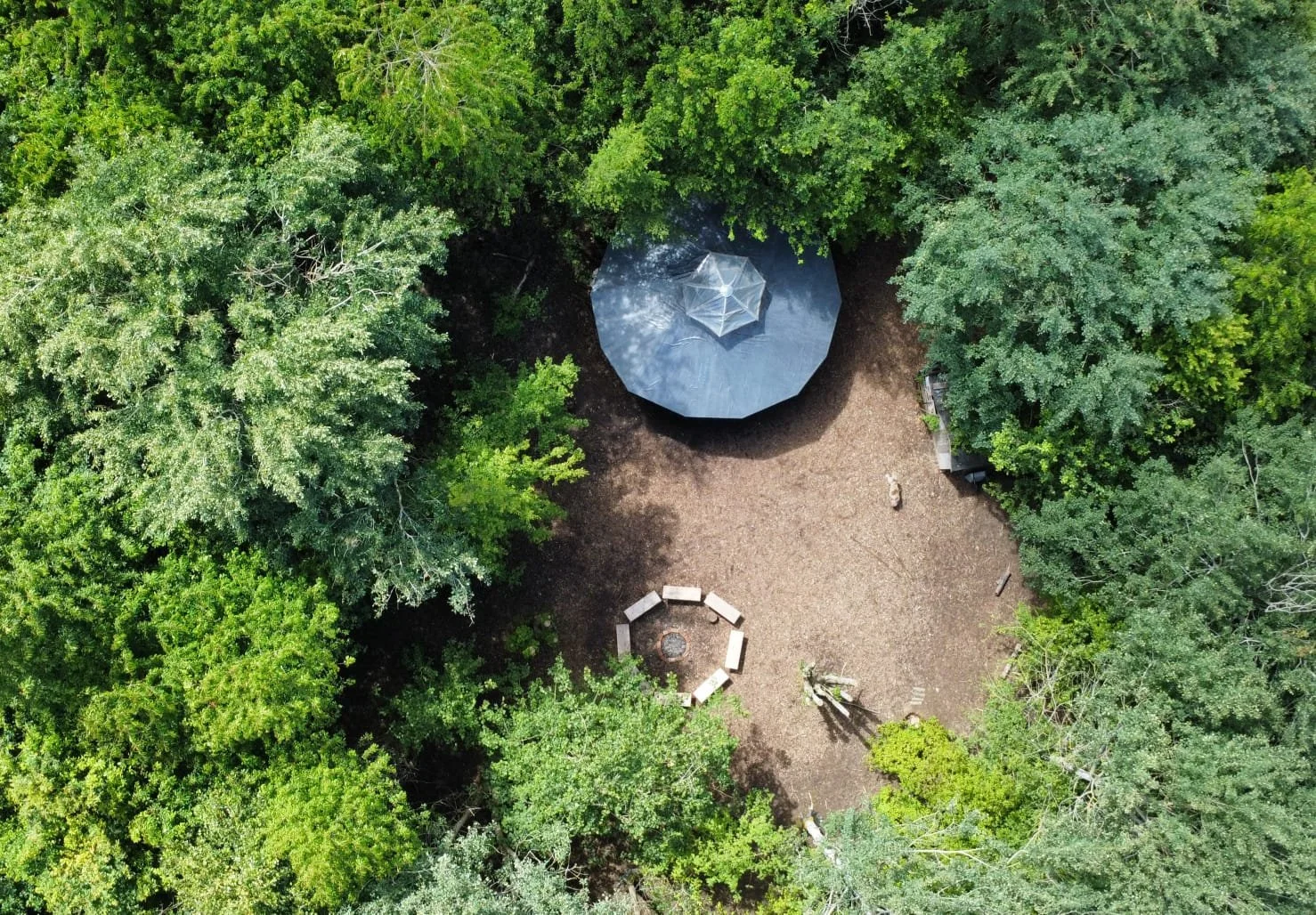 Roundhouse surrounded by trees