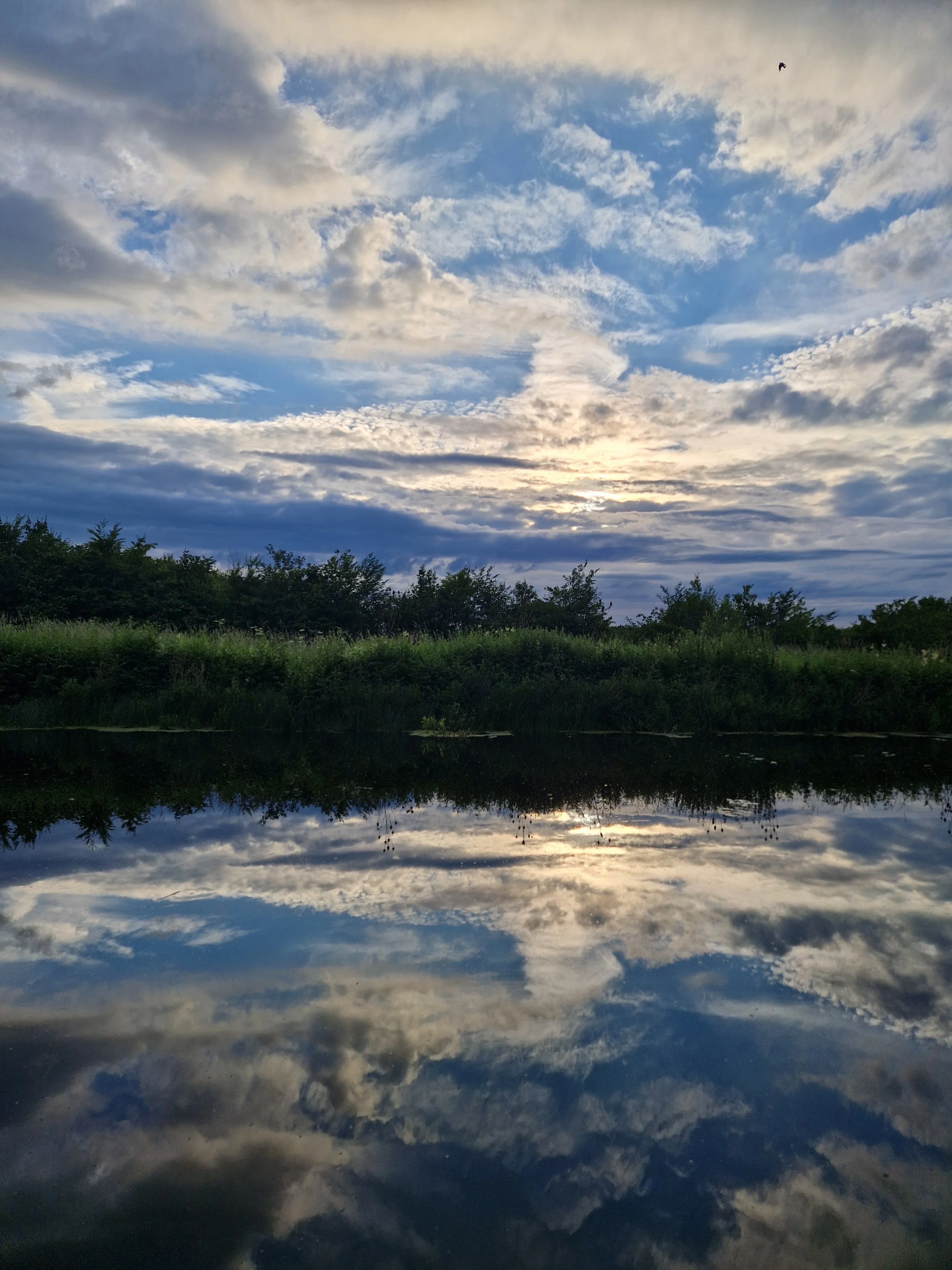 A sky filled with clouds at sunset or sunrise, with a small bird flying high in the sky, and a calm body of water below reflecting the clouds and trees along the shore.