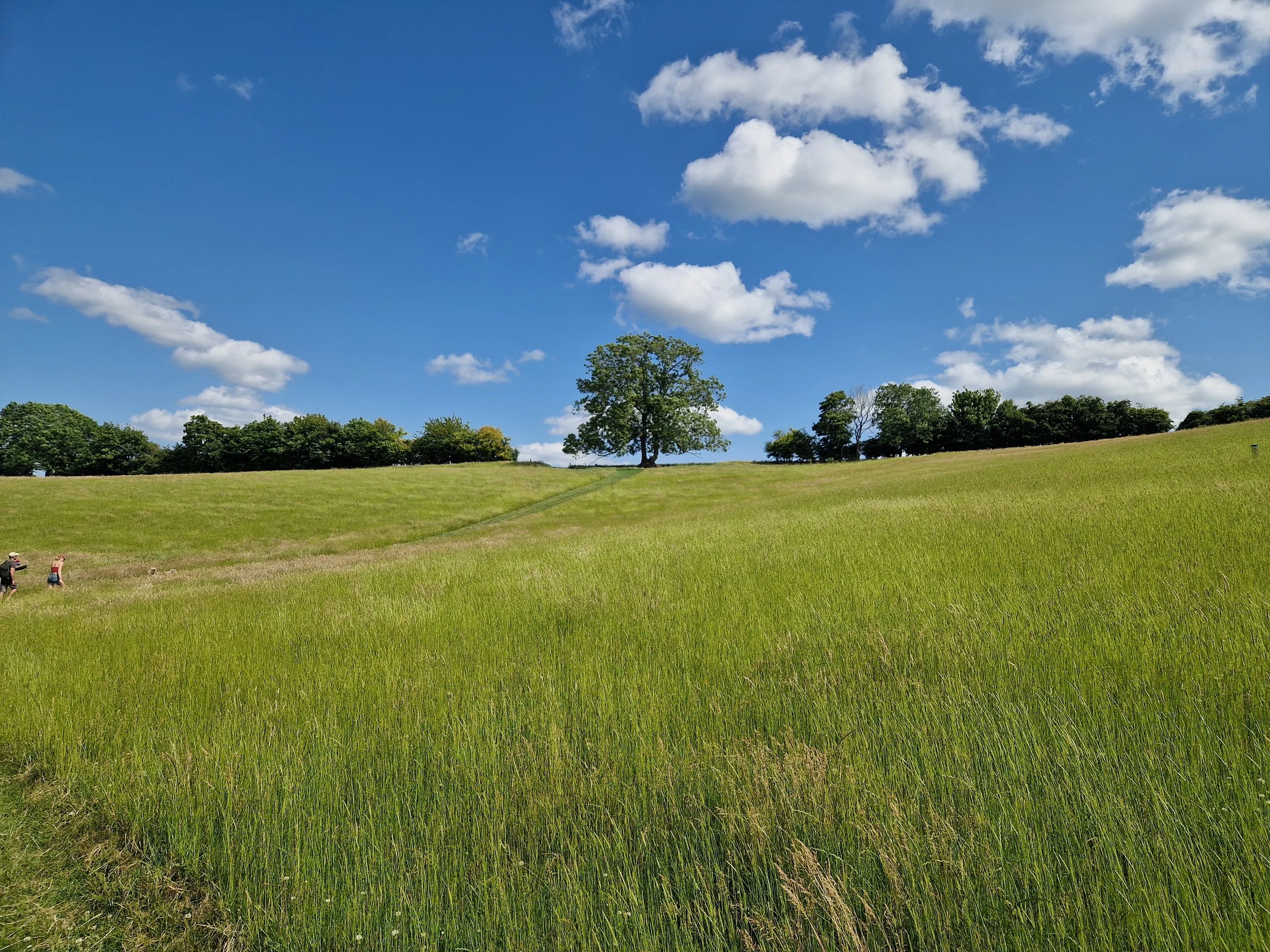 The Farm