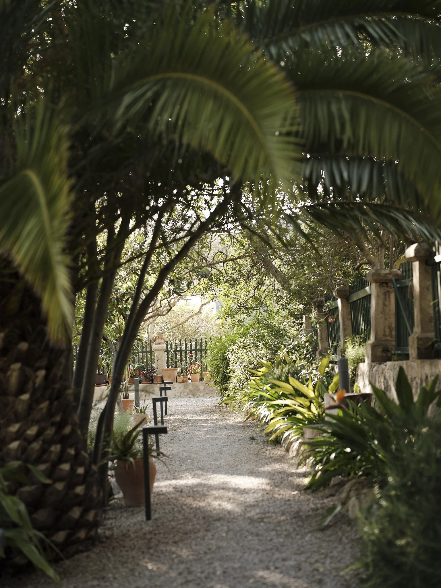 A garden pathway with gravel, surrounded by lush green plants and trees, with potted plants and signs along the path.