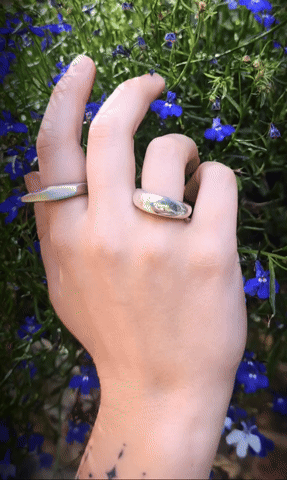 A person's hand with rings on fingers, surrounded by blue flowers and green foliage.