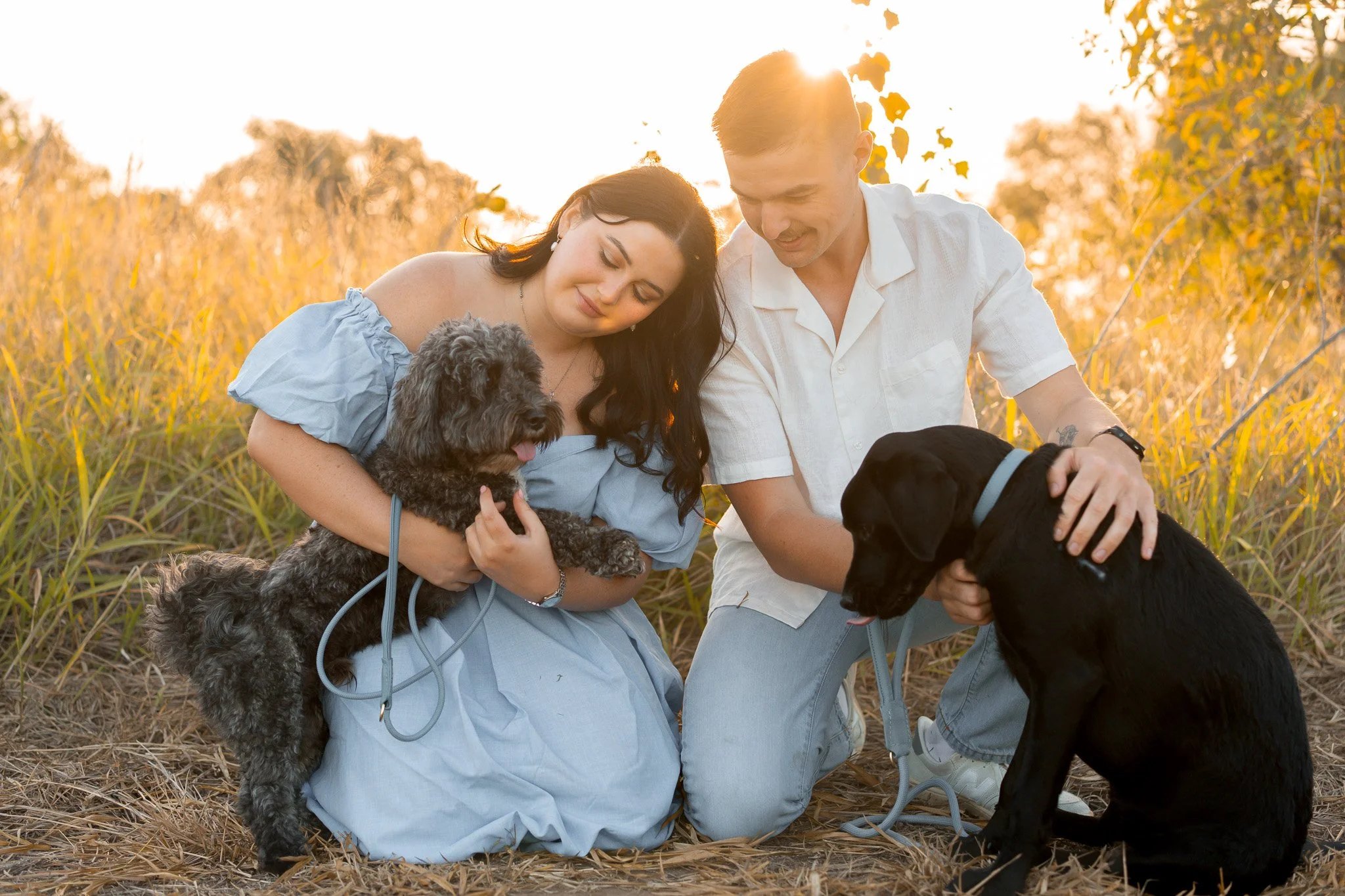 A woman and man sitting in a field during sunset, each holding a dog, with trees and golden sunlight in the background.