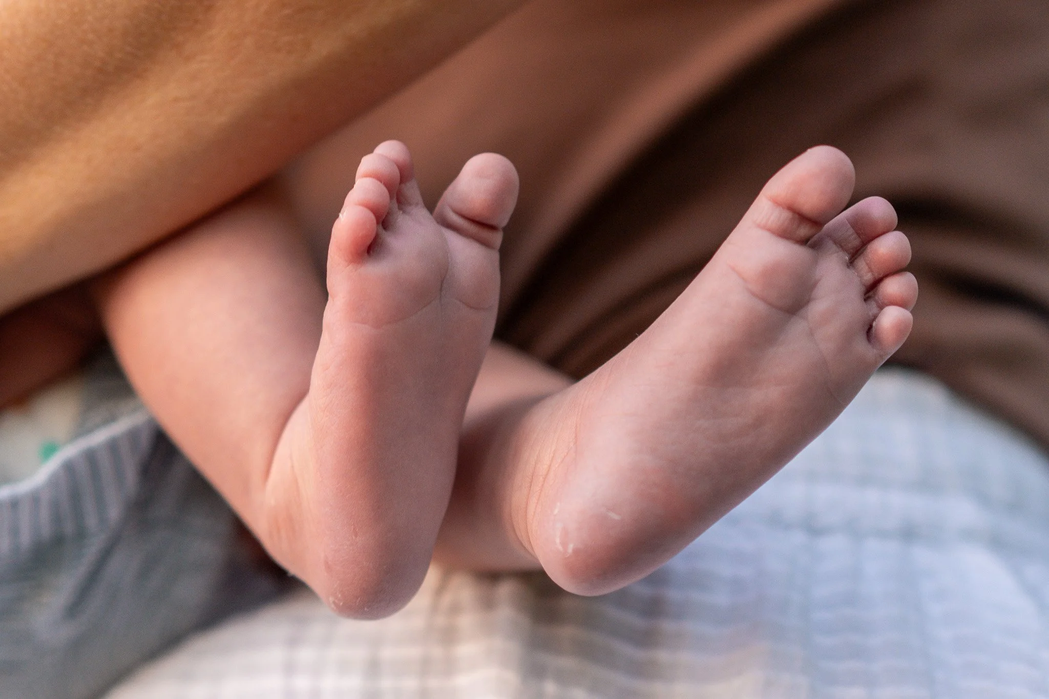 Close-up of a baby's feet being gently held in an adult's hands.