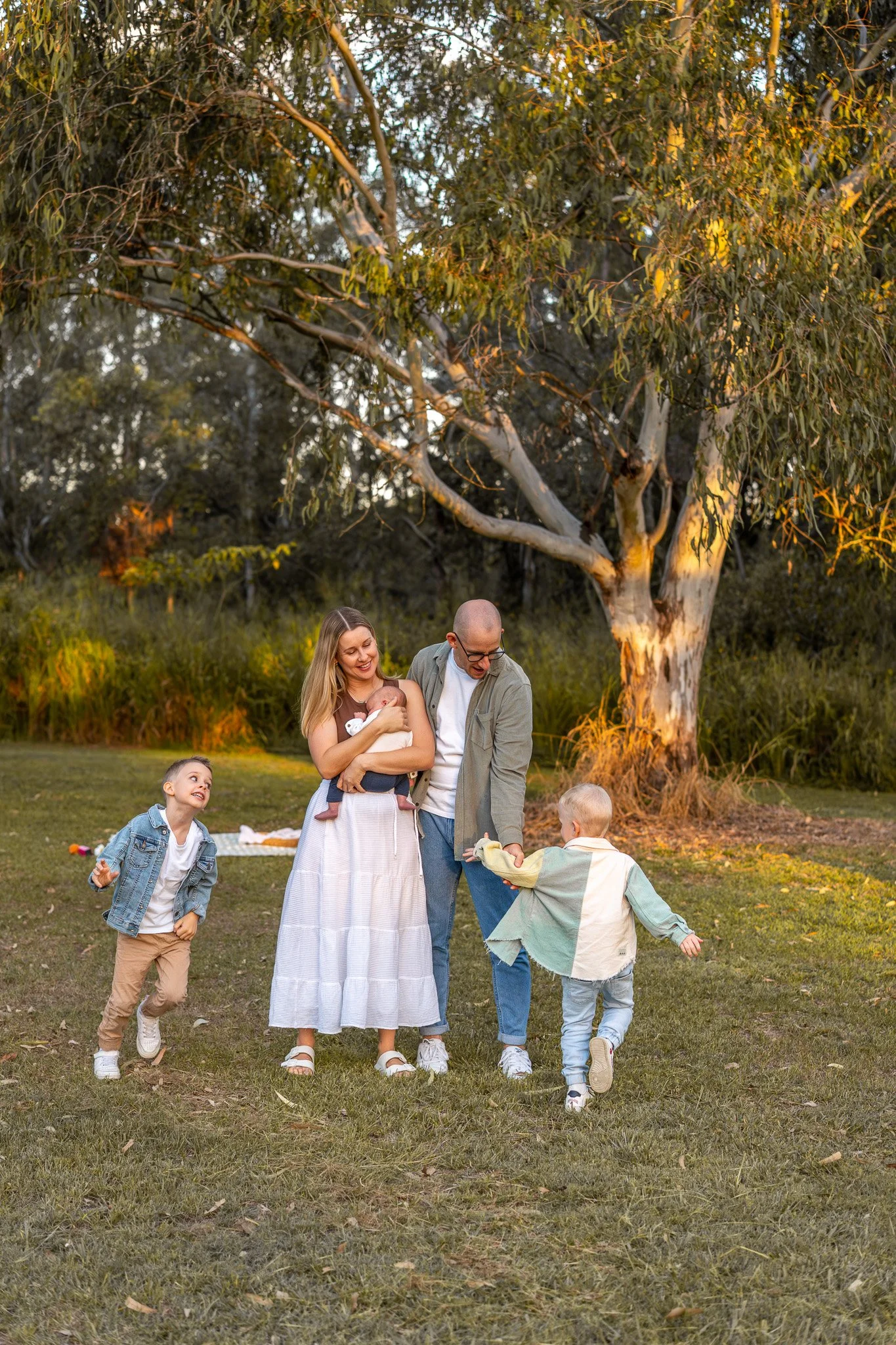 A family enjoying an outdoor picnic in a park during sunset, with trees and grass visible in the background.