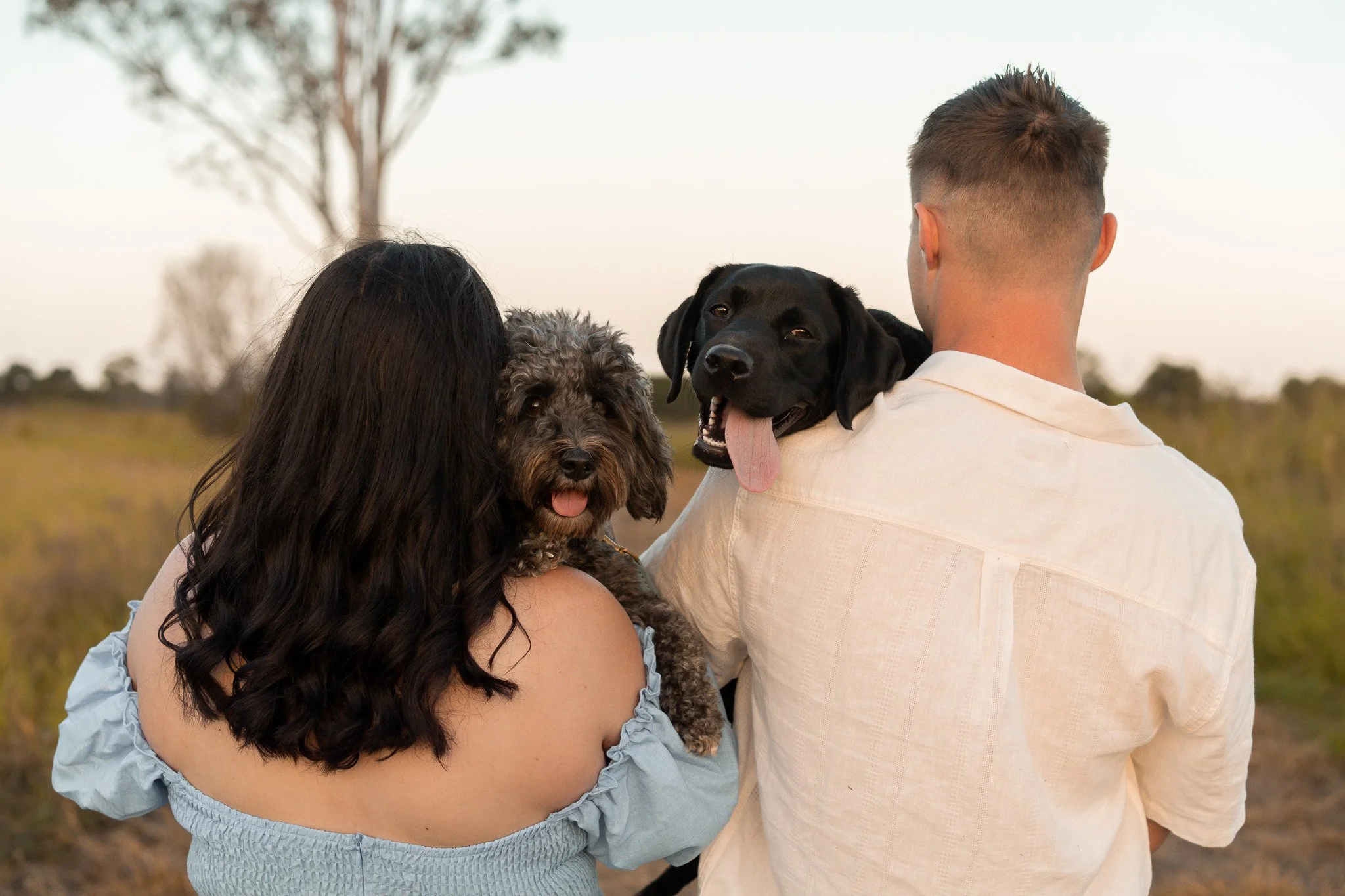 A woman and a man holding two dogs outdoors during daytime with a tree in the background.
