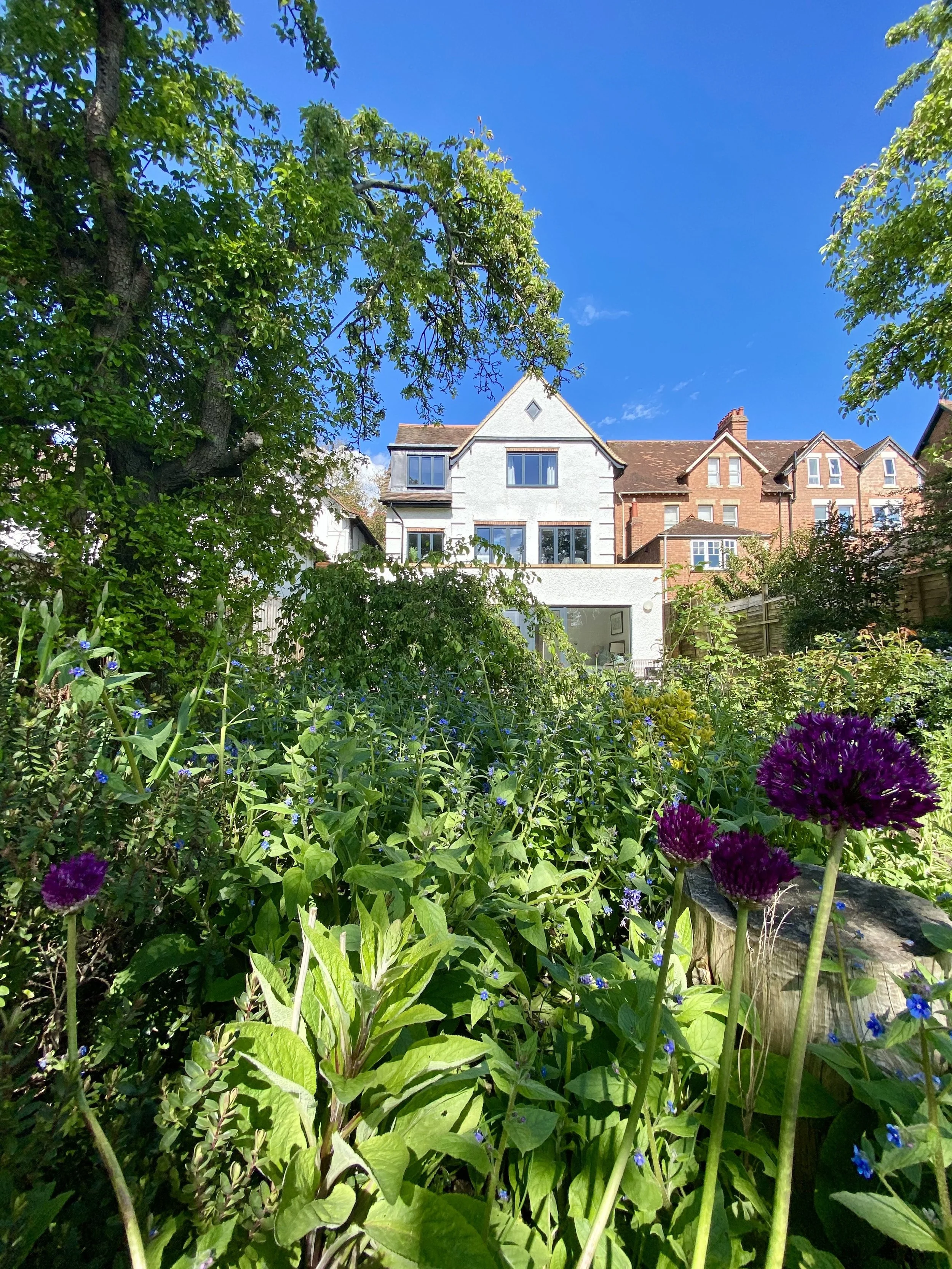 GardenView7.jpg
