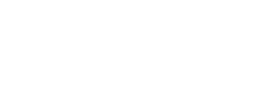 AVOR Consulting