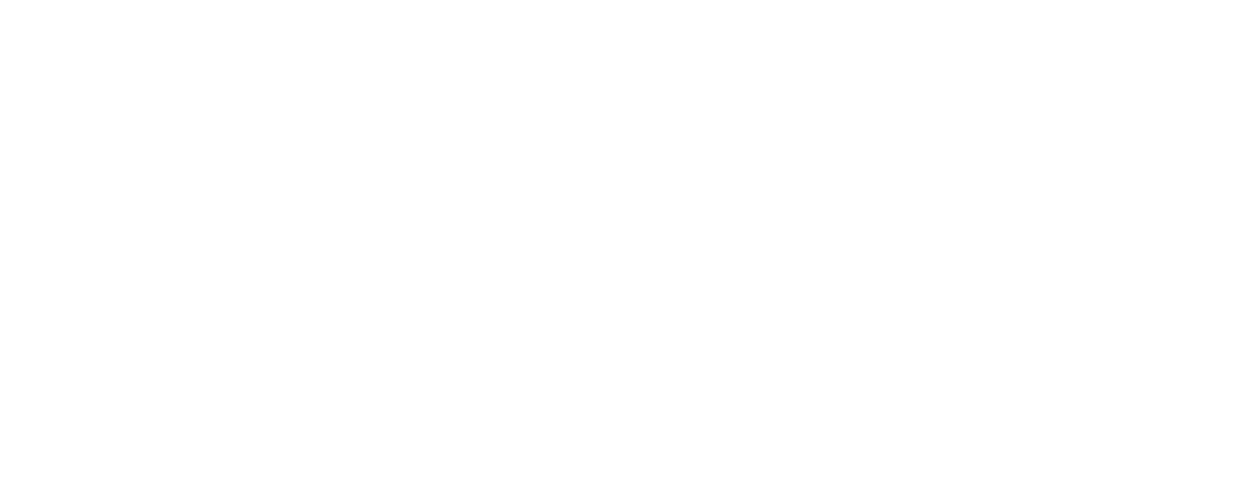 Culture Ireland Logo