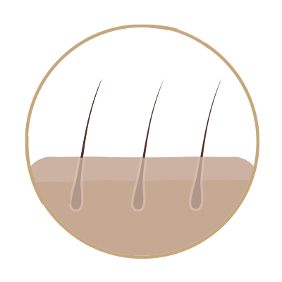 SCALP CHECK .png