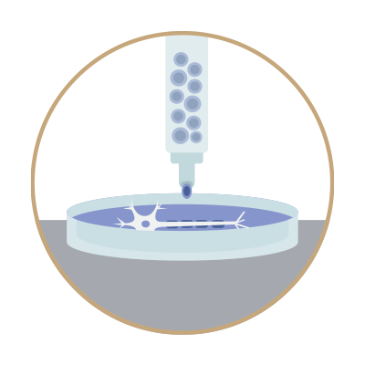 regenera icon.png