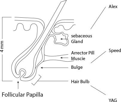 tech-section-image.png