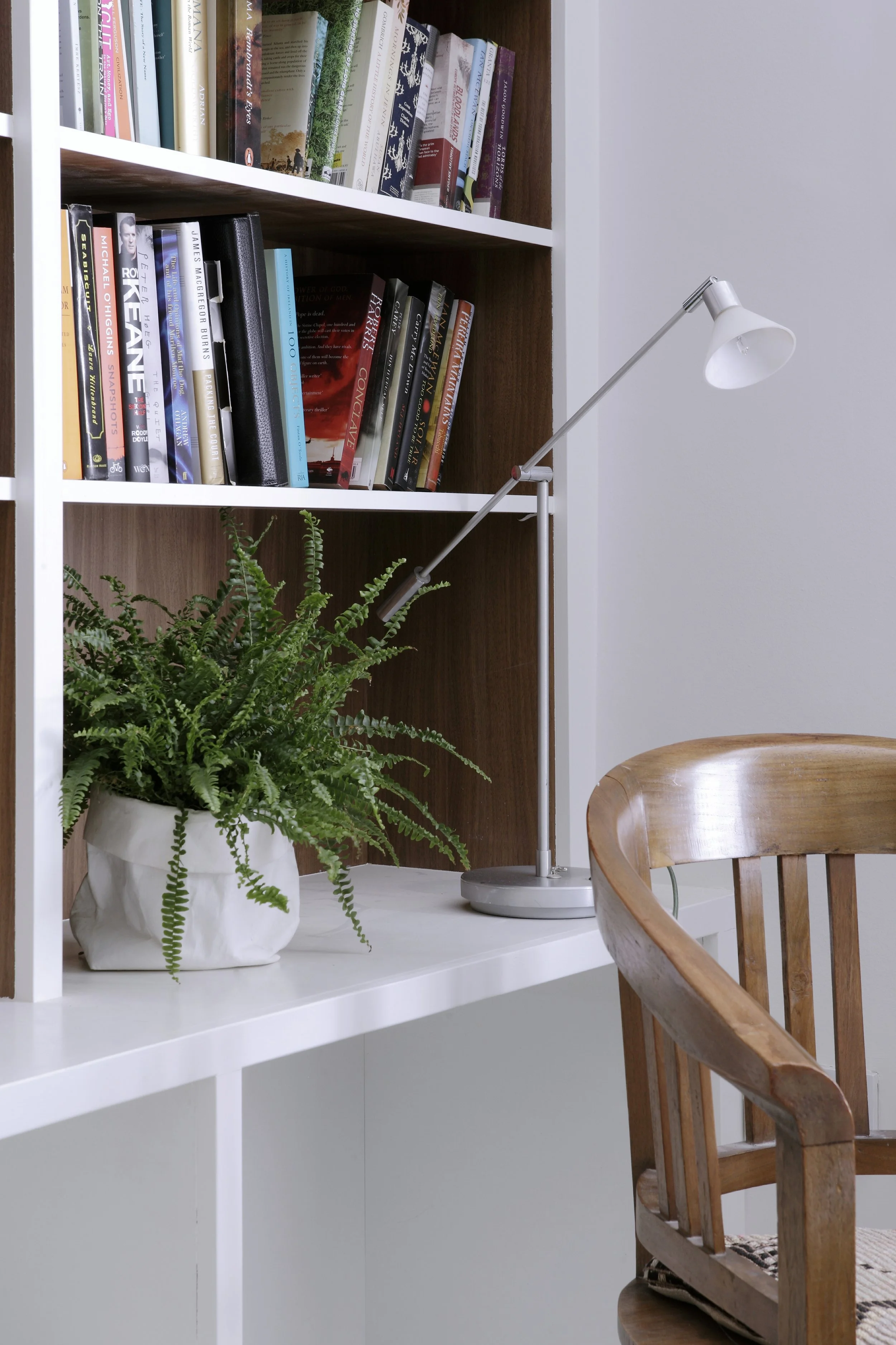 bookshelf-fern-anglepoise-lamp-dublin.jpg