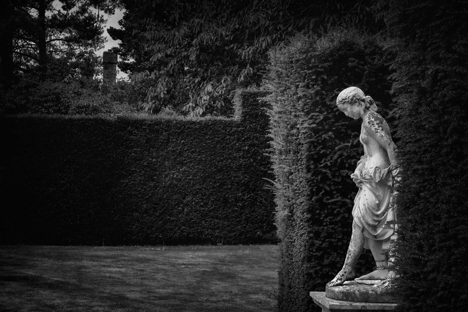 Black and white photo of a garden with a classical marble statue of a woman on a pedestal, surrounded by tall bushes and trees.