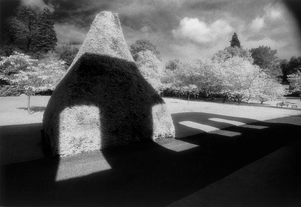 A large, cone-shaped topiary in a park casting a shadow, with trees and benches in the background under a cloudy sky.