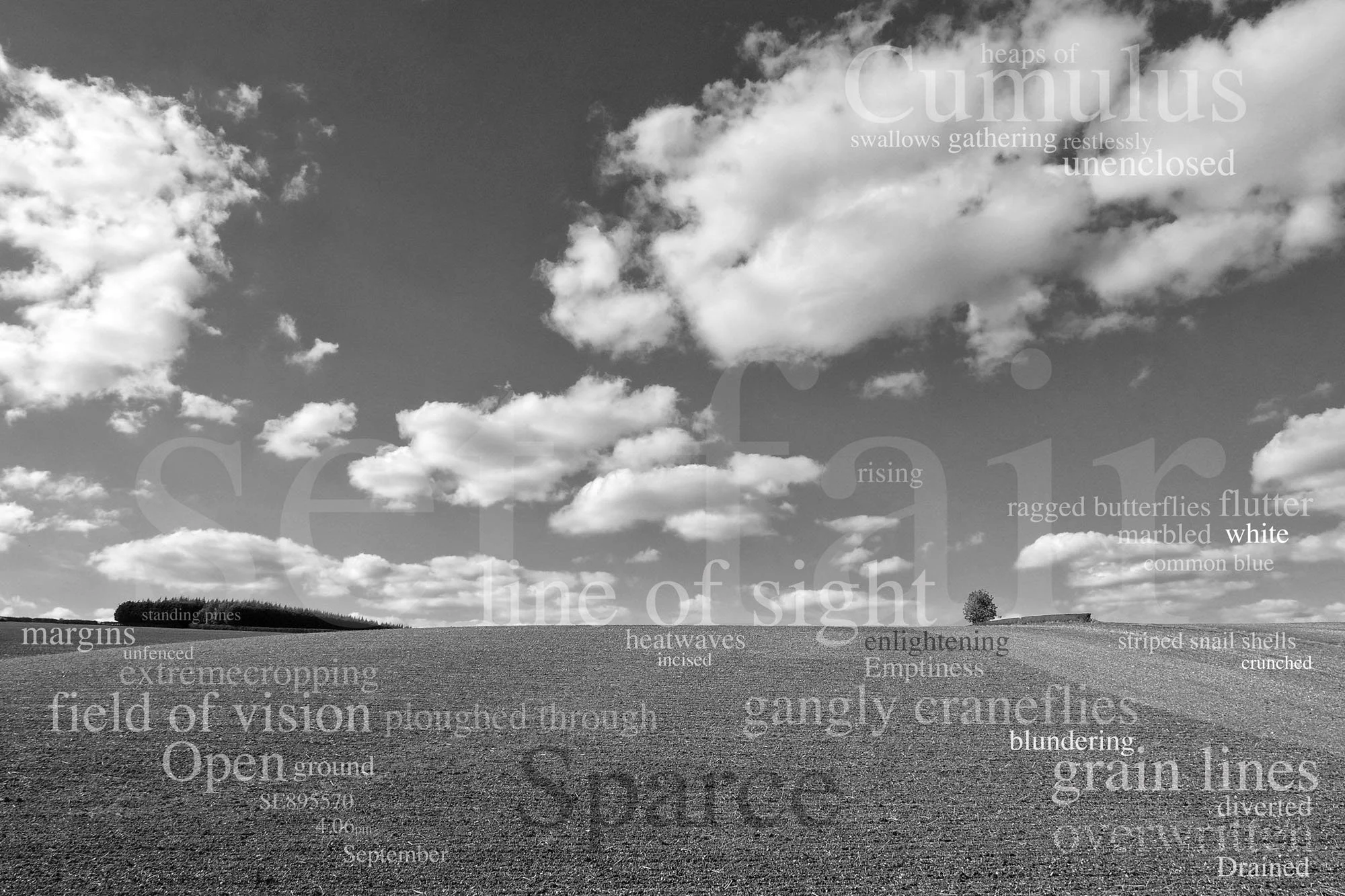 A black and white landscape with a field of grass, a line of trees on the horizon, and clouds in the sky. Overlaid with words related to visual perception and natural elements, including 'heaps of Cumulus', 'rising', 'field of vision', 'gently', 'whi