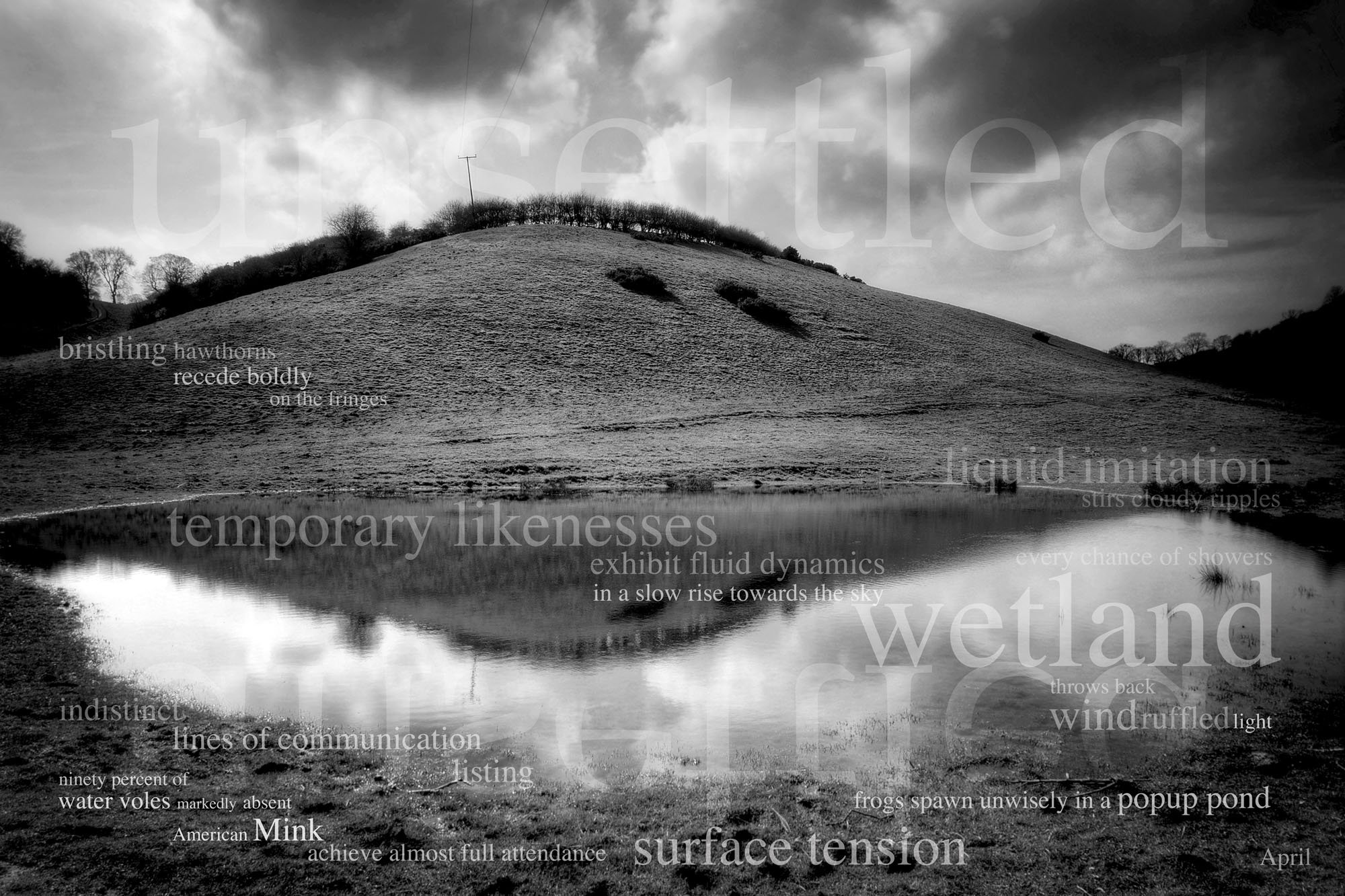A black and white landscape scene of a hill with a small pond in the foreground, and trees on top of the hill. The sky is cloudy, and there are power lines running across the sky. Overlaid on the image are various words related to nature and water, s