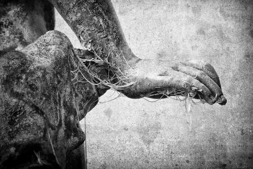Close-up black and white photo of a weathered statuesque arm and hand with roots and vines growing around it, against a rough concrete background.