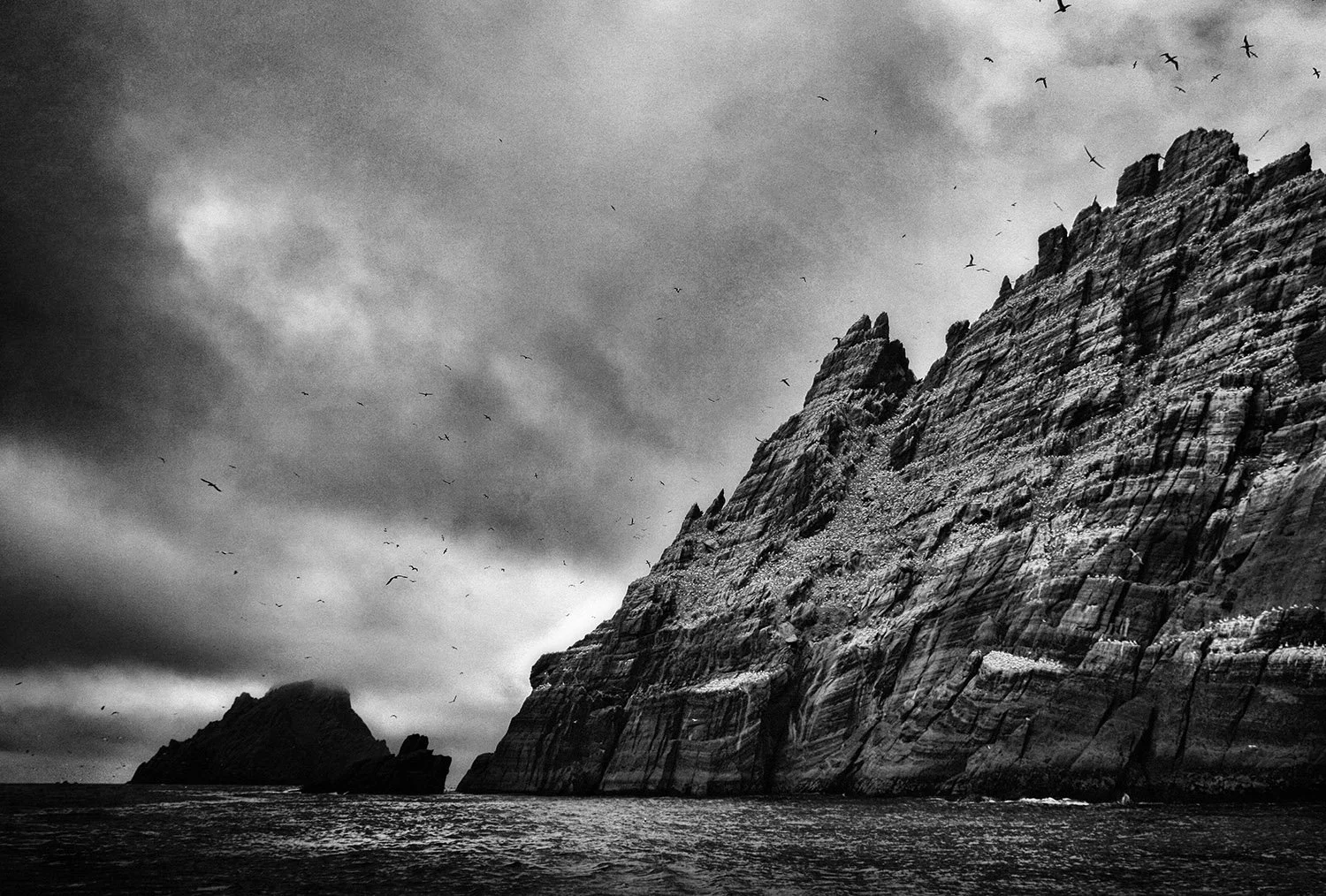 Black and white photo of large rocky cliffs by the ocean with a cloudy sky and many birds flying overhead.