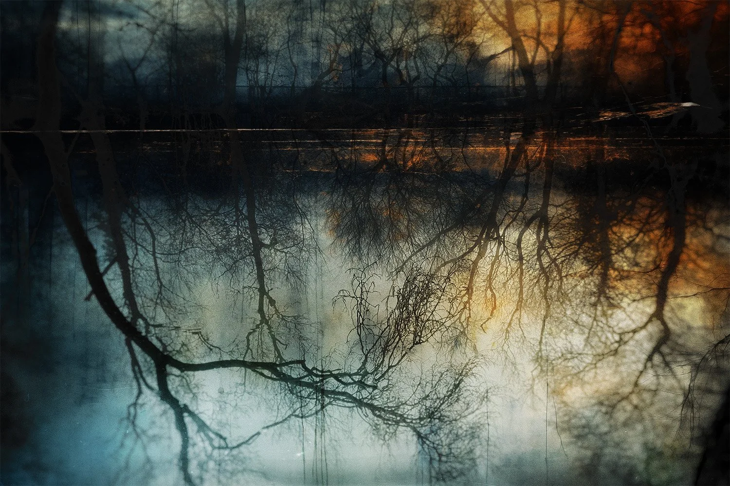Reflection of leafless trees at sunset or sunrise on a calm body of water, with a misty or foggy atmosphere.