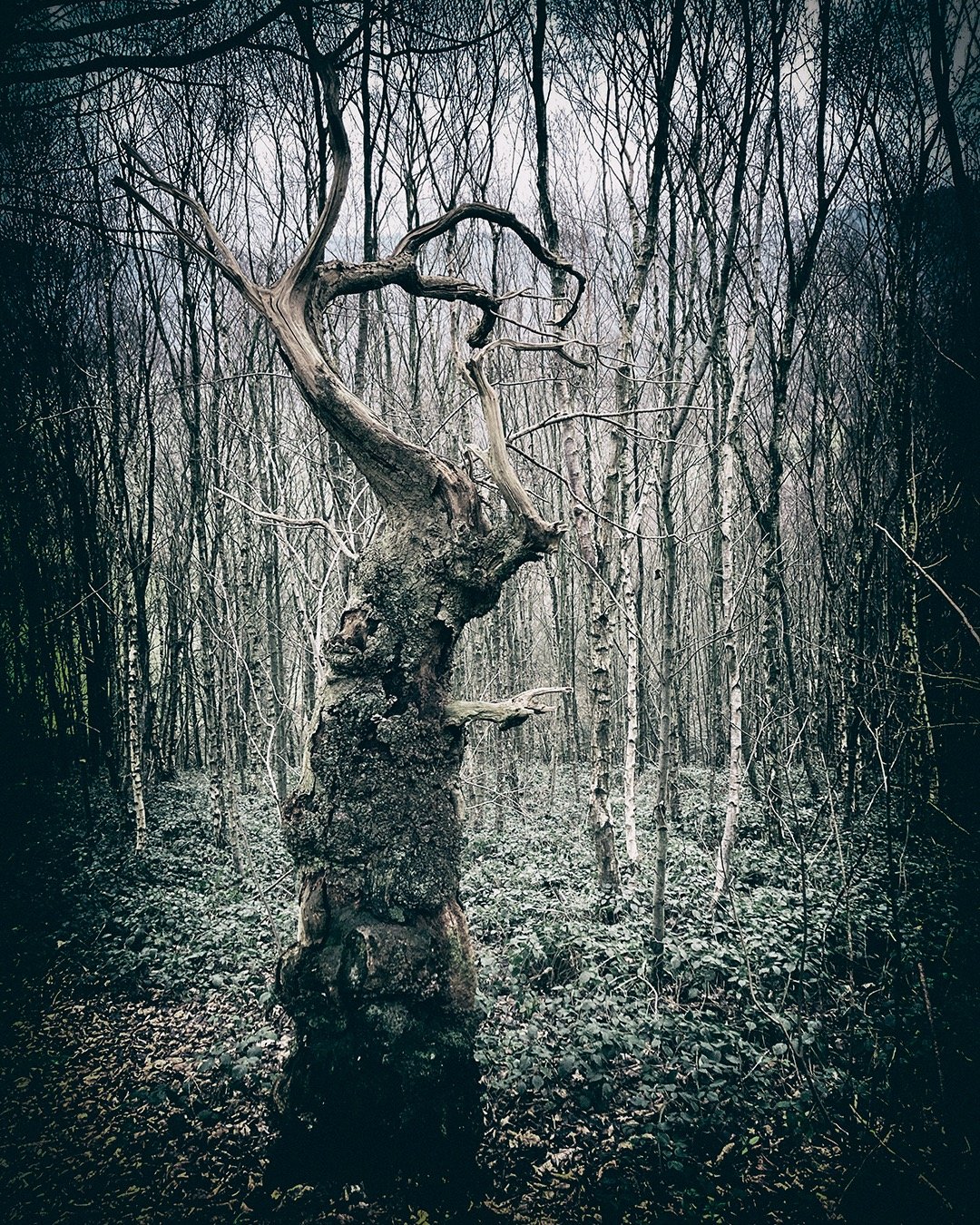 A sign ... #fineartphotography, #artphotography, #contemporaryart