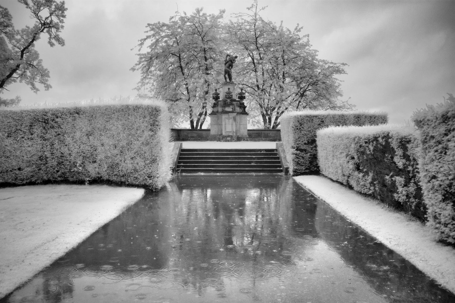 A black and white photo of  The Wrestlers statue on a  pedestal at Castle Howards, surrounded by leafless trees, with snow and ice on the ground and hedges.