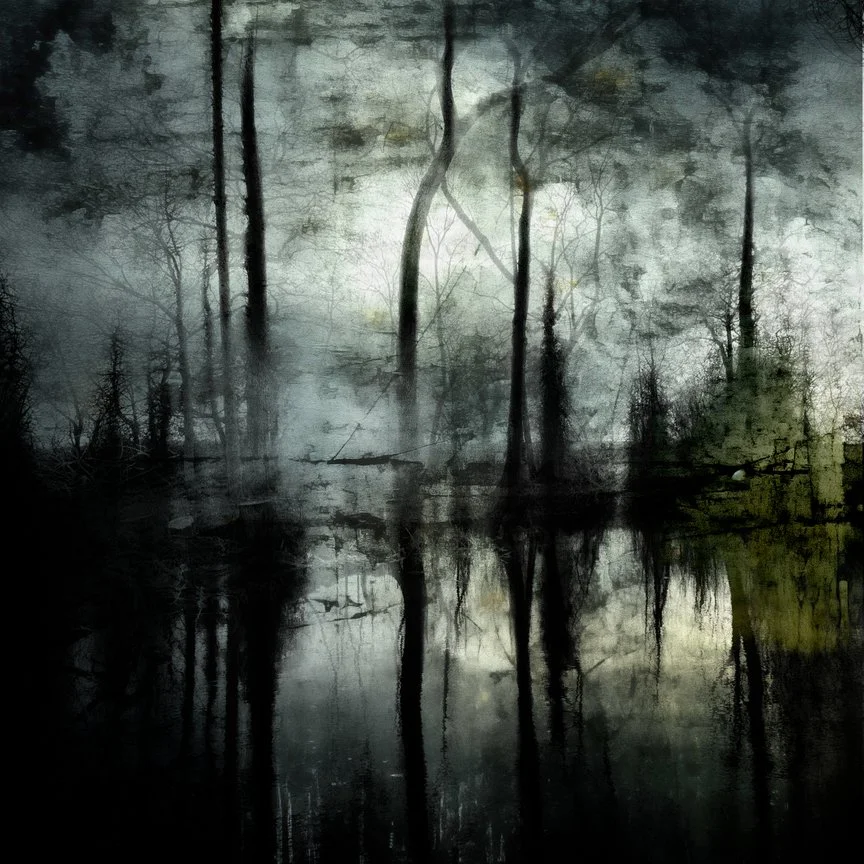 Dark, foggy pond with leafless trees reflected in the water, creating a mysterious and eerie atmosphere.