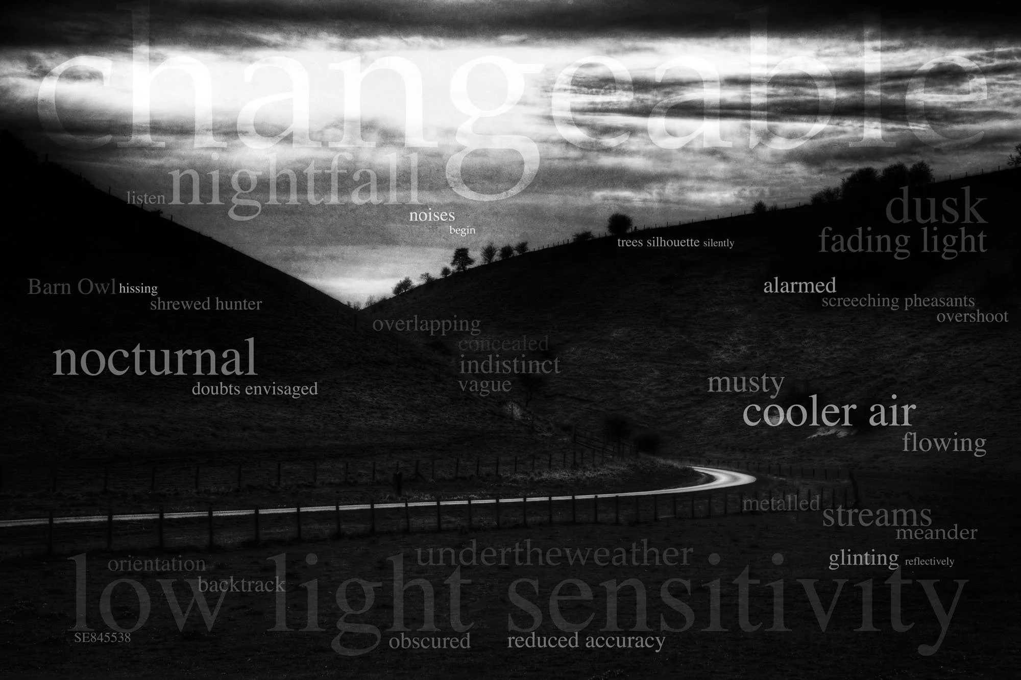 A black and white landscape with rolling hills, trees silhouetted against the sky, and a winding road in the foreground. Overlaid with various words and phrases such as 'nightfall', 'nocturnal', 'flowing', 'sensitive', and 'stream' in different sizes