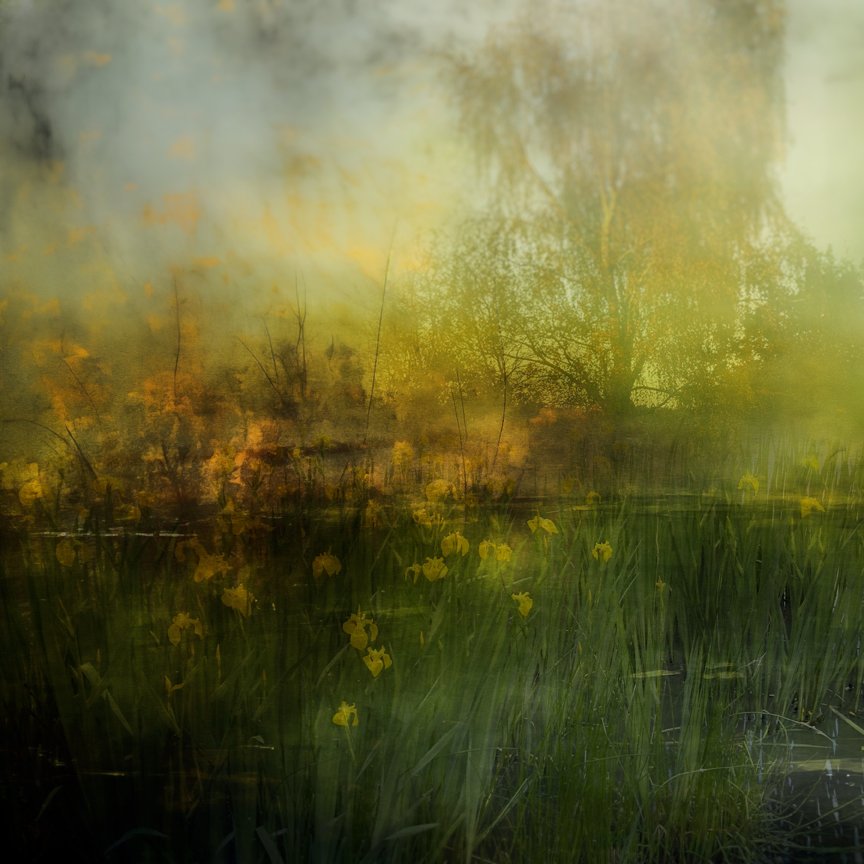 A landscape of a pond with yellow flowers in the foreground and trees with yellow and green leaves reflected in the water, with some fog or mist creating a blurred effect.