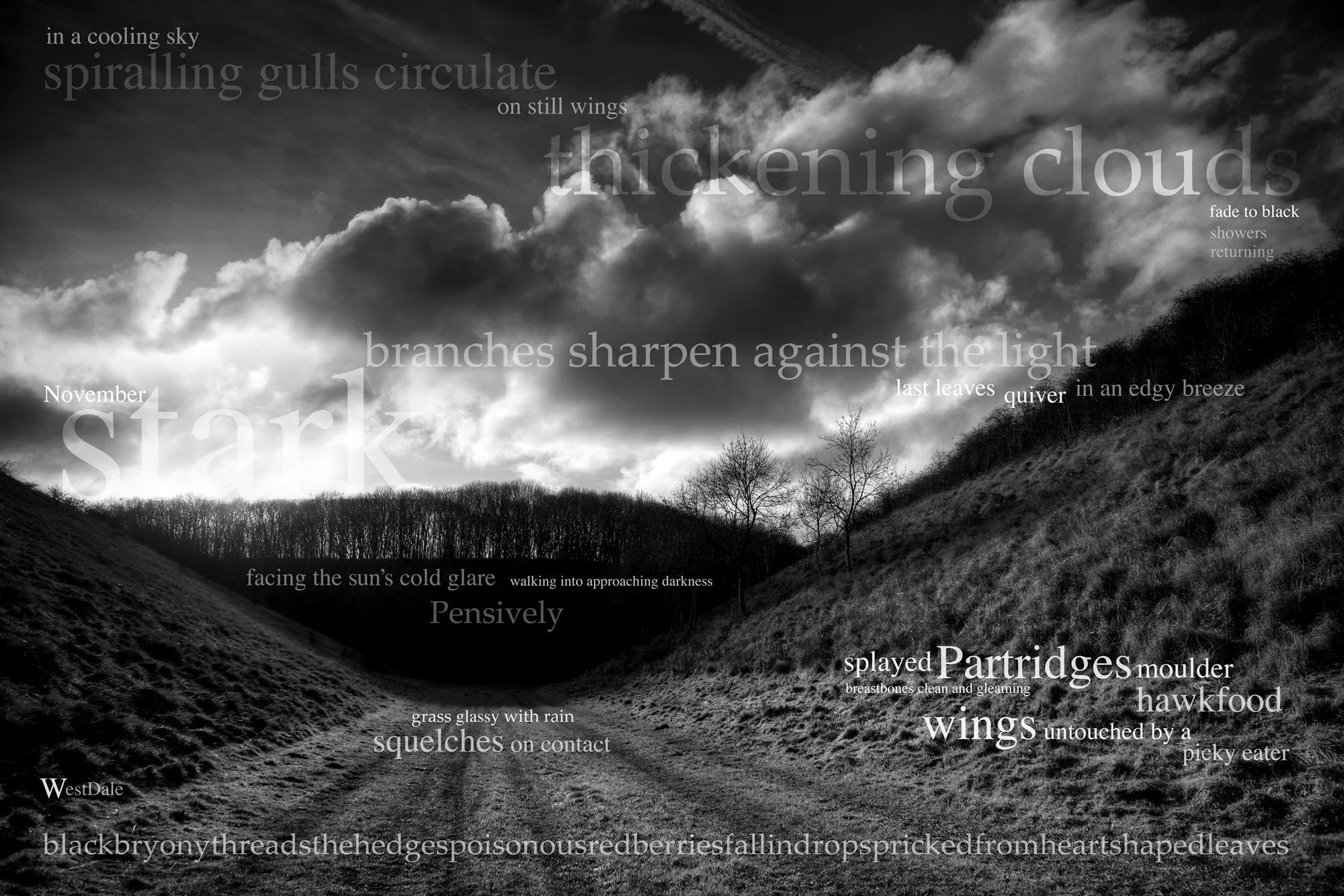 Black and white landscape photo of a hill or valley with leafless trees and clouds in the sky. Overlaid with various poetic words and phrases about weather and nature, including 'spiraling gulls,' 'thickening clouds,' 'stark,' 'Partridge,' and 'hawks