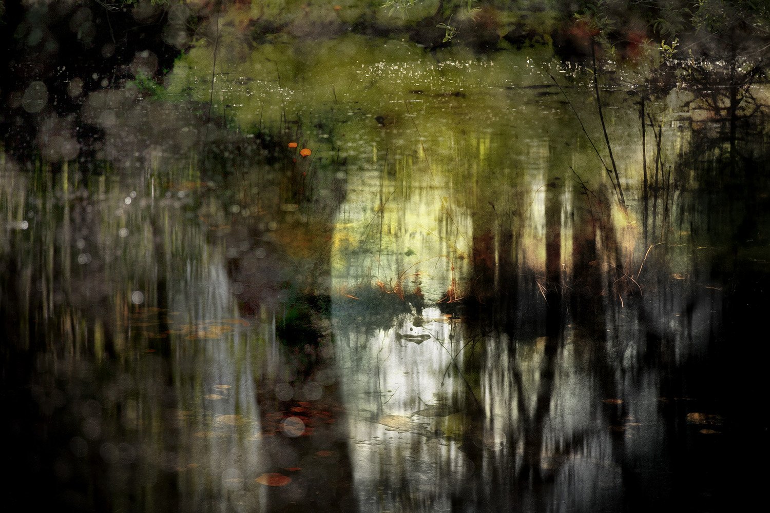 abstract photo of a swamp or marsh with water reflecting trees and vegetation, featuring dark and muted tones with some orange and green accents, and blurred or bokeh effects.