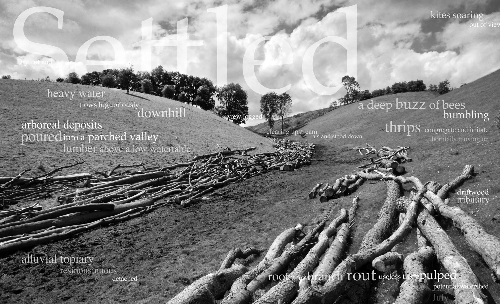 Black and white landscape with rolling hills, trees, and a cloudy sky. Superimposed words describe ecological features and processes, such as 'heavy water flows lugubriously', 'a deep buzz of bees', 'roots and branch rout', and 'driftwood tributary'.