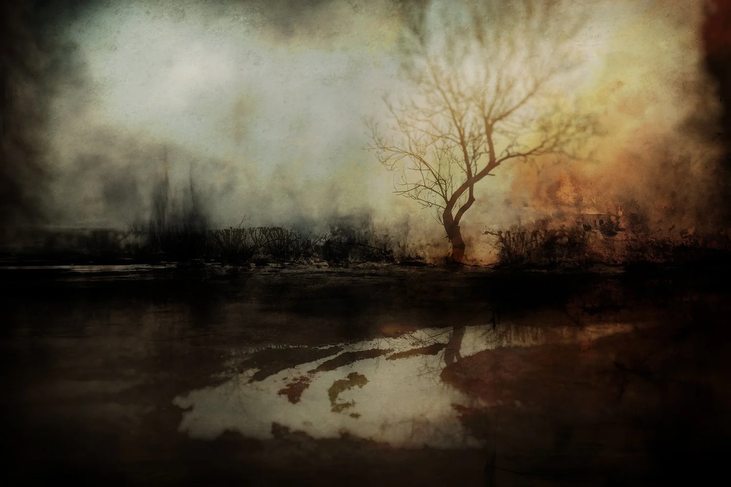 A silhouette of a tree with no leaves near a body of water, with a misty, foggy atmosphere and muted colors of brown, orange, and gray.